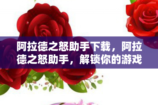 阿拉德之怒助手下载图片