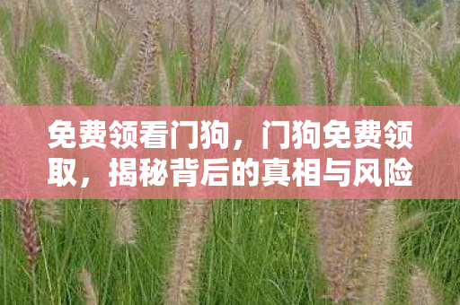 揭秘背后的真相与风险图片