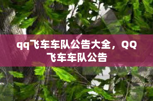 qq飞车车队公告大全，QQ飞车车队公告