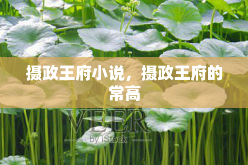 摄政王府的常高图片