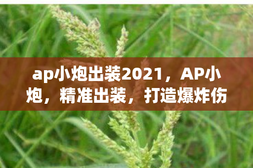 ap小炮出装2021图片