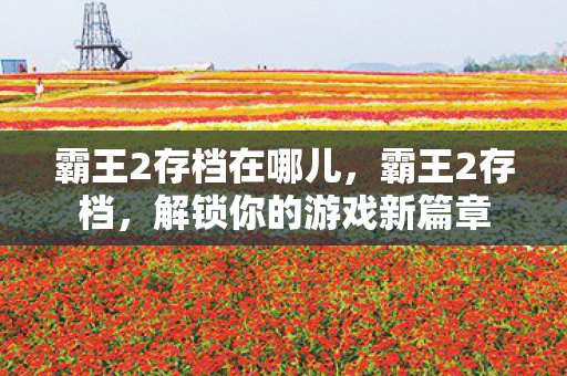 解锁你的游戏新篇章图片