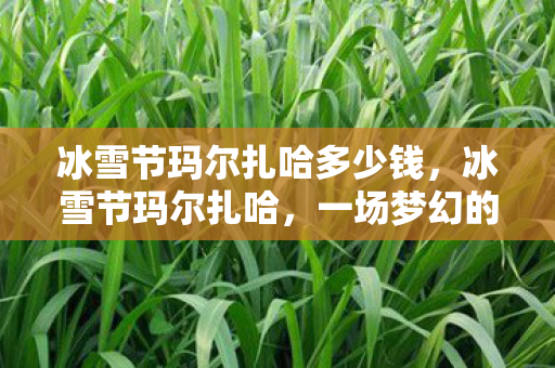 冰雪节玛尔扎哈多少钱图片