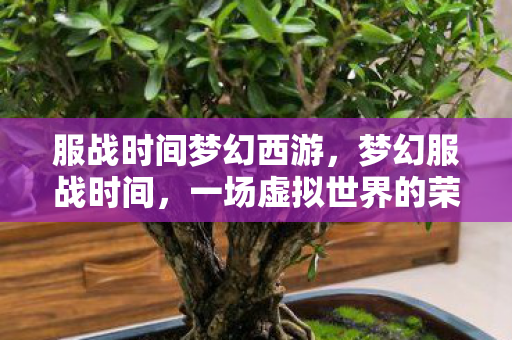 一场虚拟世界的荣耀之战图片