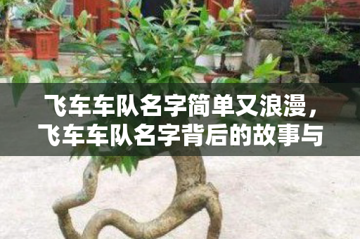 飞车车队名字简单又浪漫，飞车车队名字背后的故事与激情