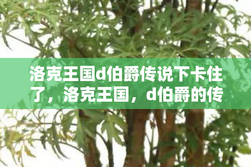 洛克王国d伯爵传说下卡住了图片