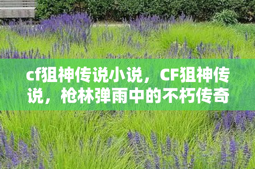 枪林弹雨中的不朽传奇图片