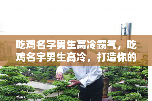 吃鸡名字男生高冷霸气图片