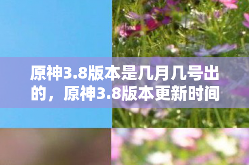 8版本更新时间及内容详解图片