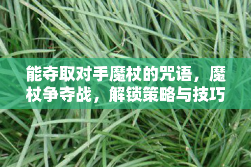 能夺取对手魔杖的咒语图片