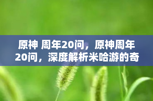 深度解析米哈游的奇幻世界图片