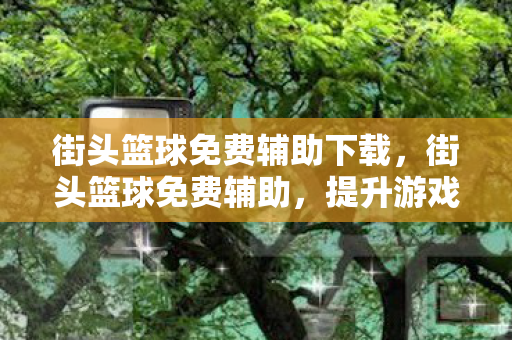 提升游戏乐趣的明智选择图片