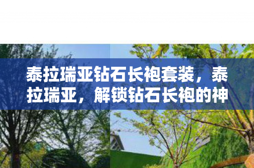 解锁钻石长袍的神秘之旅图片