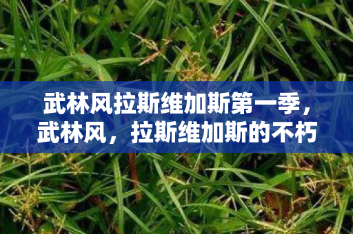 武林风拉斯维加斯第一季图片