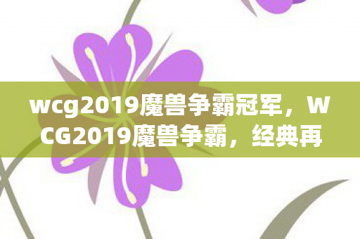 wcg2019魔兽争霸冠军图片