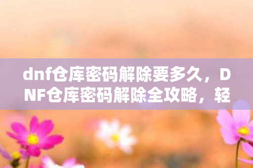 dnf仓库密码解除要多久图片