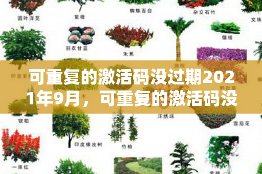 可重复的激活码没过期2021年9月图片