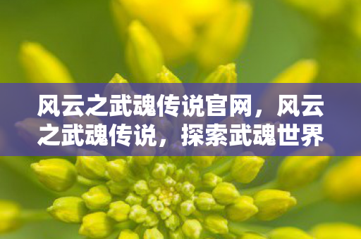 风云之武魂传说官网图片