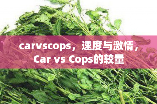 Car vs Cops的较量图片