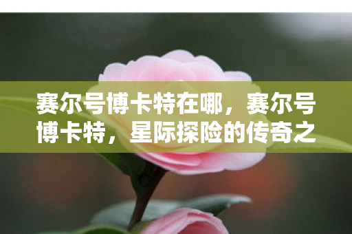 星际探险的传奇之旅图片