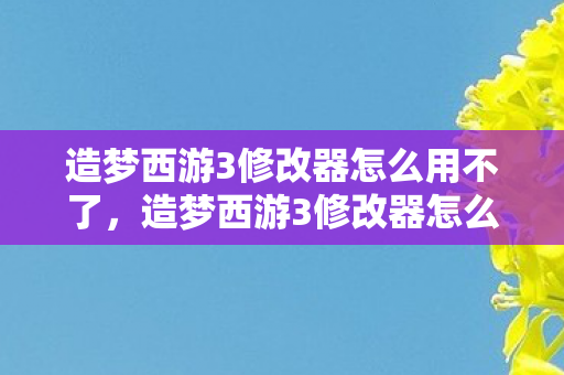 造梦西游3修改器怎么用不了图片