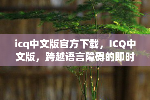 跨越语言障碍的即时通讯工具图片