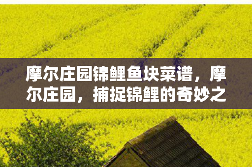 摩尔庄园锦鲤鱼块菜谱图片