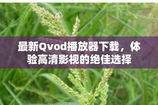 最新Qvod播放器下载图片