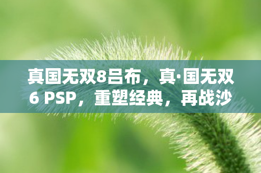 国无双6 PSP图片