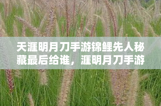 天涯明月刀手游锦鲤先人秘藏最后给谁图片