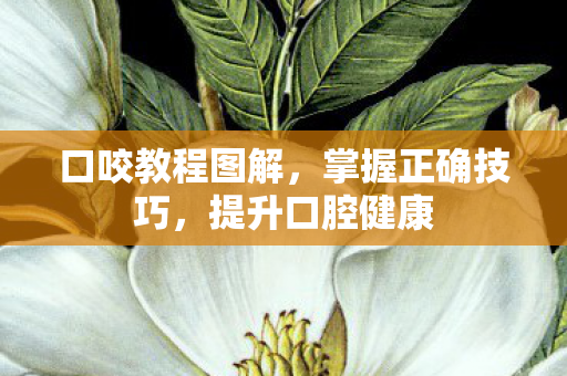 口咬教程图解图片