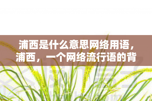 一个网络流行语的背后故事图片