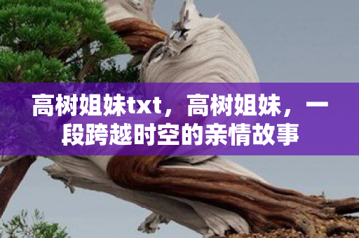 一段跨越时空的亲情故事图片