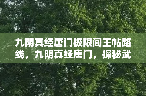 九阴真经唐门极限阎王帖路线图片