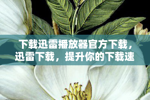 下载迅雷播放器官方下载图片
