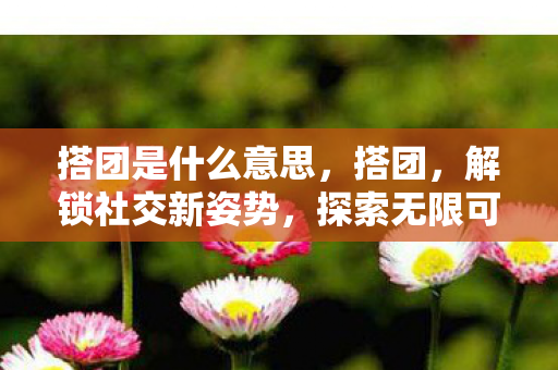 搭团是什么意思图片