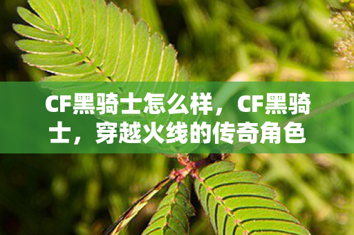 穿越火线的传奇角色图片