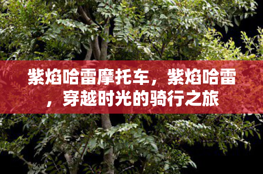 穿越时光的骑行之旅图片