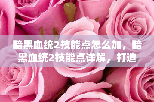 暗黑血统2技能点怎么加图片