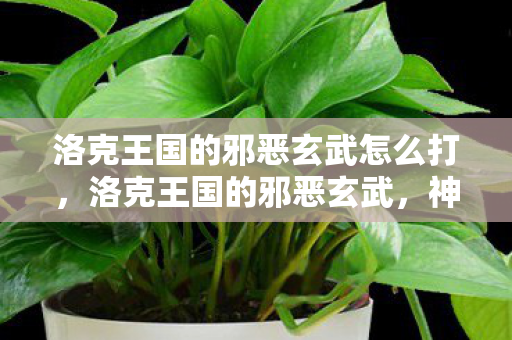 洛克王国的邪恶玄武怎么打图片