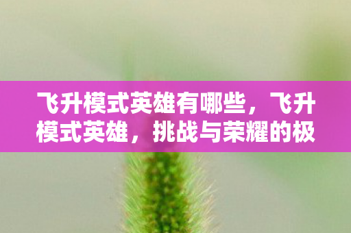 挑战与荣耀的极致之旅图片