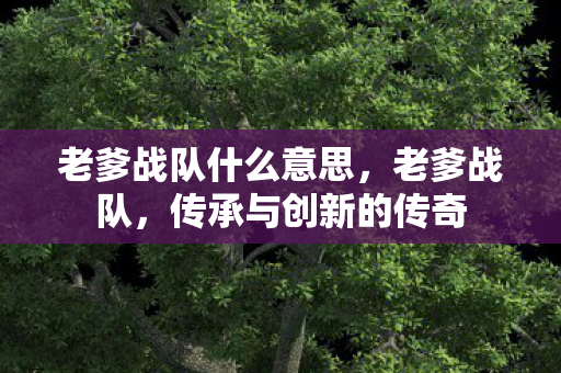 老爹战队什么意思图片