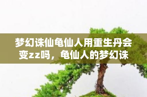 梦幻诛仙龟仙人用重生丹会变zz吗图片