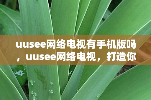 uusee网络电视有手机版吗图片