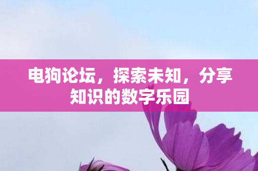 分享知识的数字乐园图片