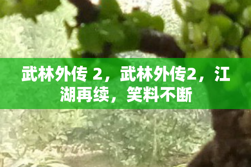 武林外传 2图片