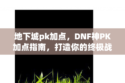 DNF神PK加点指南图片