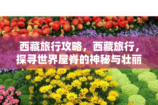 探寻世界屋脊的神秘与壮丽图片