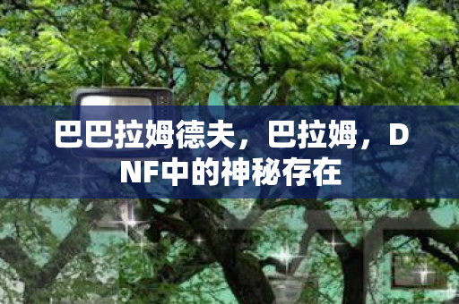 DNF中的神秘存在图片