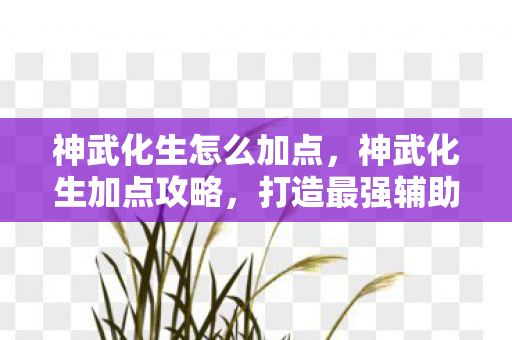 神武化生怎么加点图片